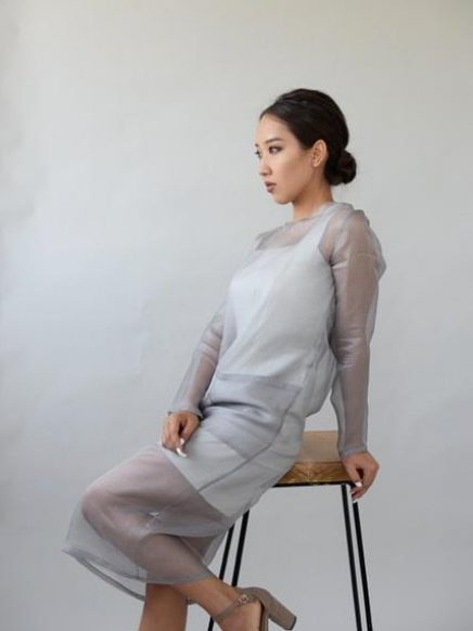 Sheer Silk Organza Dress Set Grey